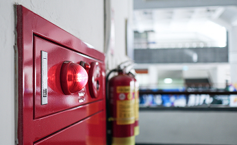 Πυροσβεστική φωλιά