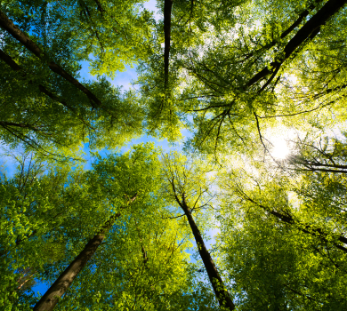 Η περιβαλλοντική πολιτική μας